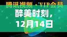 醉美时刻,独家直播醉实时呈现