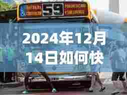 如何快速查询扬州实时公交信息(2024年12月14日指南)