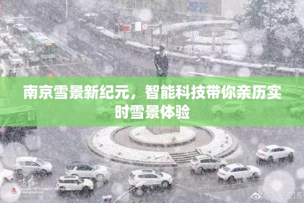 林下风气 第3页