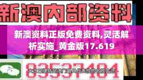 新澳资料正版免费资料,灵活解析实施_黄金版17.619