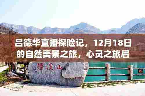 初告白 第3页