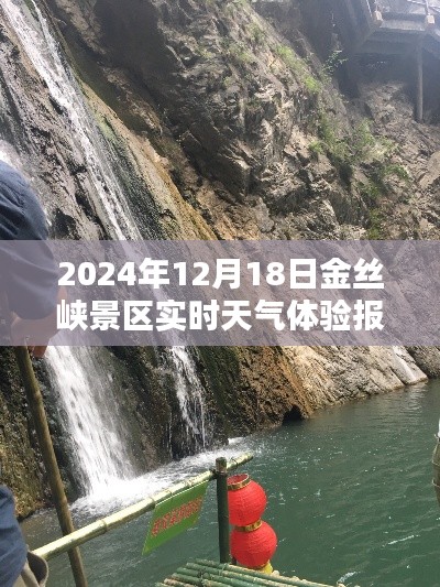 鸟栖虫居 第3页