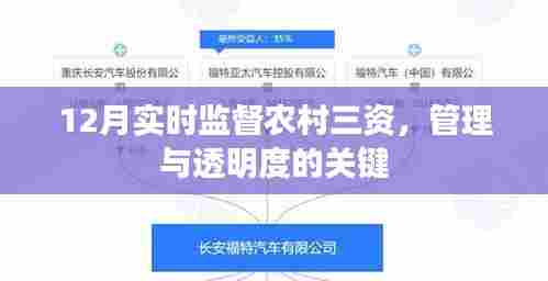 农村三资实时监督,12月管理与透明度的关键之道