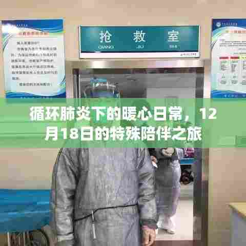 循环肺炎下的暖心日常,特殊陪伴之旅的温暖篇章(12月18日)