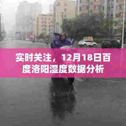 百度洛阳湿度数据分析实时关注报告,12月18日深度解读