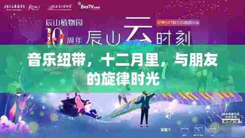 音乐纽带,十二月旋律时光中的友情乐章