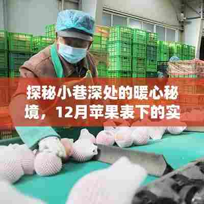 探秘小巷深处的暖心秘境,苹果小店、实时体温与十二月的温情故事