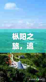 枞阳之旅,自然美景与公交时光的体验