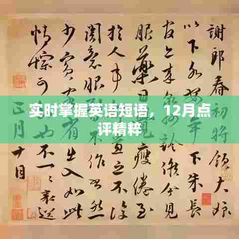 实时掌握英语短语,12月点评精粹概览