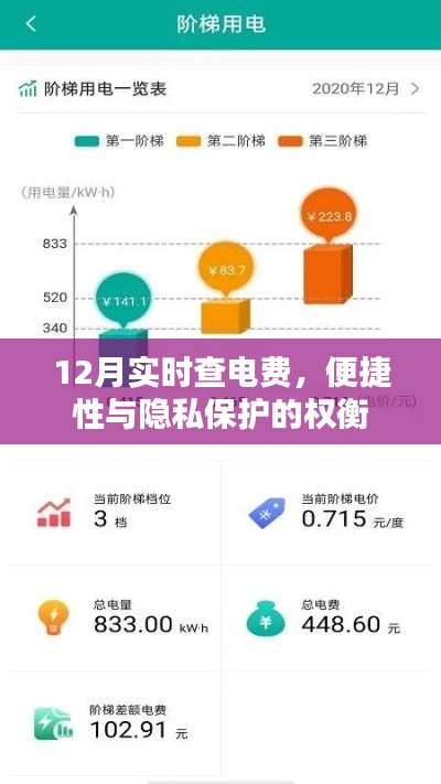 12月电费实时查询,便捷性与隐私保护的平衡点