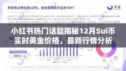 小红书热门话题下的币圈揭秘,Sui币实时美金价格分析与投资指南(附最新行情分析)