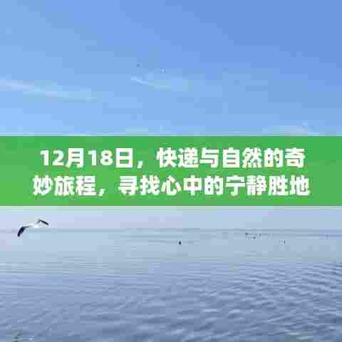 快递与自然之旅,探寻心灵宁静胜地