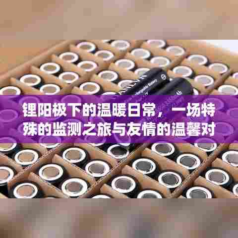 锂阳极下的日常,特殊监测与友情对话的温馨之旅