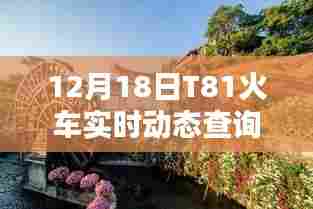 12月18日T81火车实时动态查询,轻松掌握行程信息一览