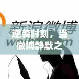逆袭时刻,静默微博之夜,学习成就最强音之路