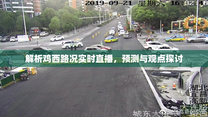 穷鸟入怀 第3页