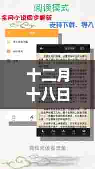 十二月十八日,番外小说app启示录——变化中的学习之旅与自信闪耀