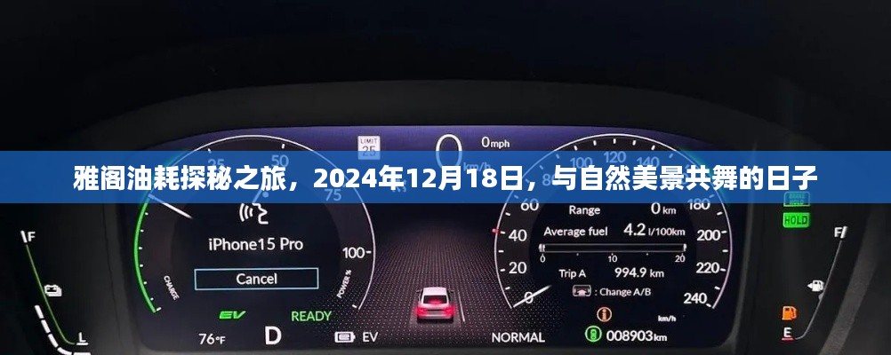 雅阁油耗探秘之旅,与自然美景共舞的日子(2024年12月18日)