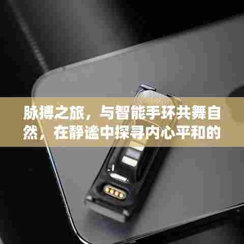 智能手环引领脉搏之旅,探寻静谧中的内心平和魔法
