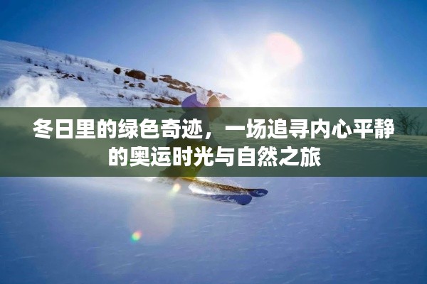 冬日绿色奇迹,奥运时光与自然之旅的心灵平静追寻