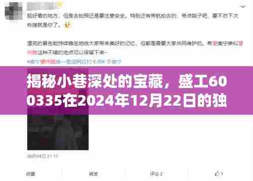 揭秘盛工600335独特行情与隐藏小巷深处的特色小店(2024年12月22日)