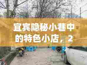 宜宾隐秘小巷特色小店与实时路况查询网,宜宾最新资讯分享