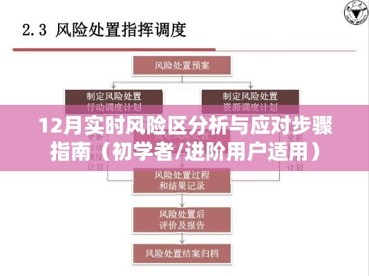 初学者与进阶用户必备的12月实时风险区分析与应对指南