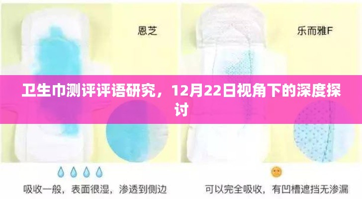 深度探讨,卫生巾测评评语研究——来自12月22日的观察视角
