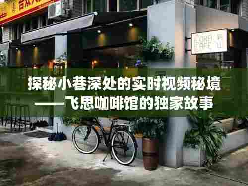 飞思咖啡馆,小巷深处的实时视频秘境之旅