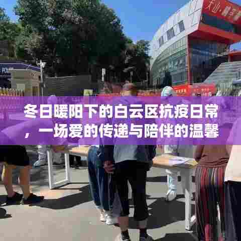 冬日暖阳下的白云区抗疫日常,爱的传递与陪伴的温馨篇章