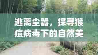 猴痘病毒下的自然探索,心灵之旅的启示