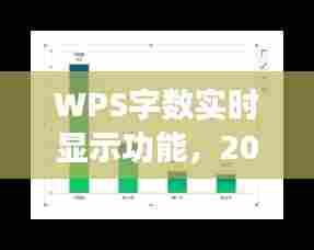 WPS字数实时显示功能深度解析,2024年12月22日观察报告