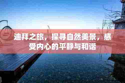 迪拜之旅,探寻自然美景,体验内心平和和谐之道