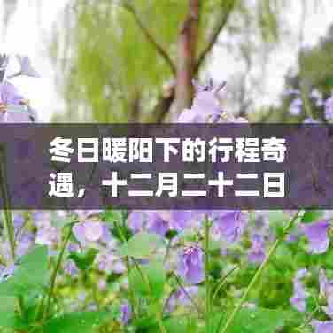 森久 第3页