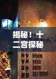 揭秘十二宫直播宝藏,巷弄深处的独特风情,十三行直播回放全解析