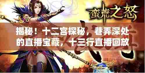 揭秘十二宫直播宝藏,巷弄深处的独特风情,十三行直播回放全解析