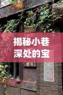 小巷深处的宝藏,贝纳利最新实时价格表与特色小店风情探秘