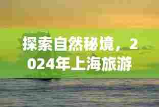 探索自然秘境,上海旅游新风尚,心灵宁静之旅启程于2024