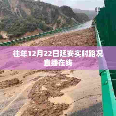大雪纷飞 第3页
