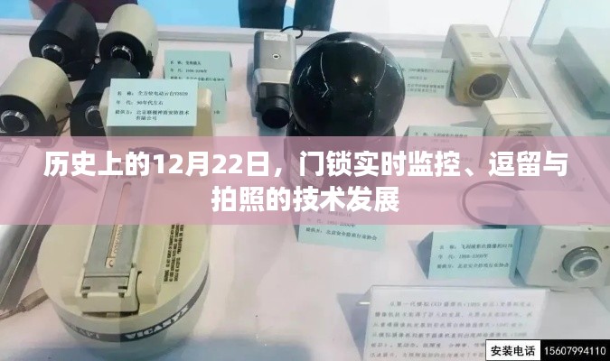 龙飞凤舞 第3页