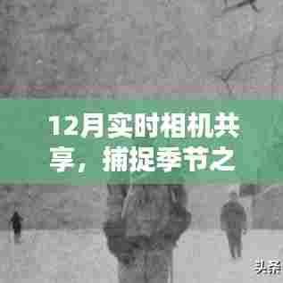 实时共享相机,捕捉冬季美景的绝佳伴侣