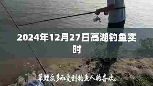 高湖钓鱼最新动态,2024年12月27日实时更新
