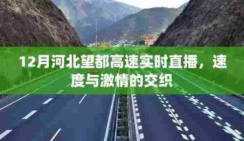 河北望都高速12月实时直播,速度与激情的碰撞