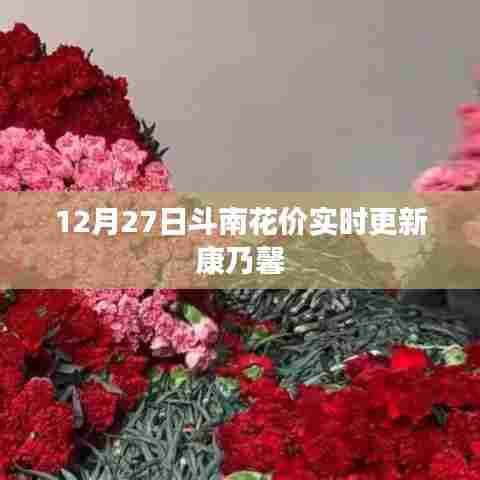斗南花价最新更新,康乃馨实时价格 12月27日