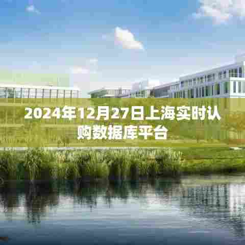 上海实时认购数据库平台上线时间揭秘,2024年12月27日
