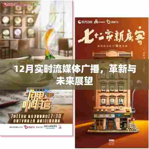 革新与未来展望,实时流媒体广播发展趋势解析