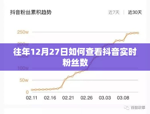 抖音实时粉丝数查看攻略,往年12月27日数据解读