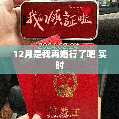 12月再婚计划启动,我的新生活篇章开启实时更新