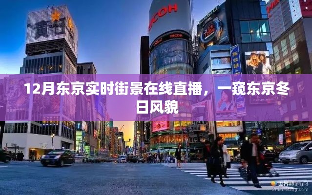 东京冬季街景直播,实时感受冬日风情