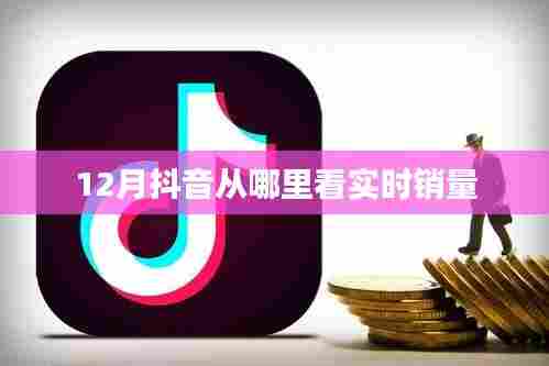 抖音实时销量查看指南